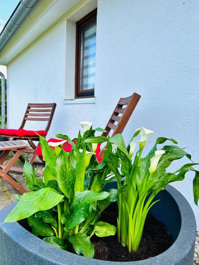 Apartment In - Brinckmansdorf